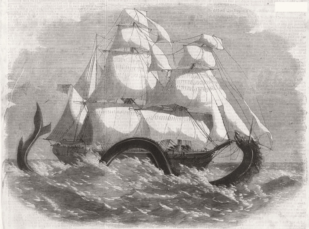 SHIPS. The Barque British Banner attacked by a sea serpent 1860 old print